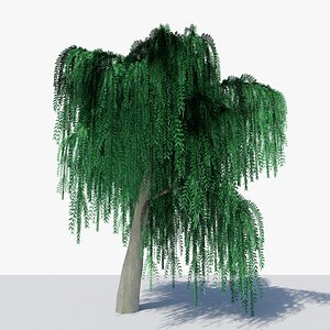 Weeping Willow v6