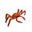 king crab 3D model