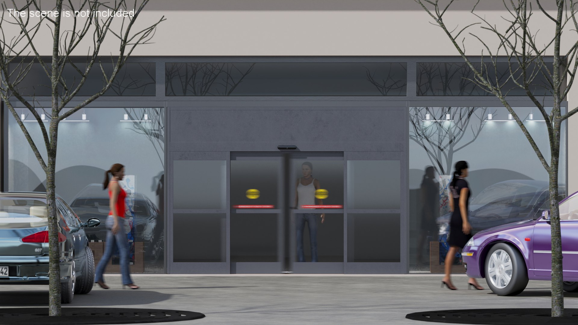 Retail Sliding Door System with Aluminium Framing 3D - TurboSquid 2041555