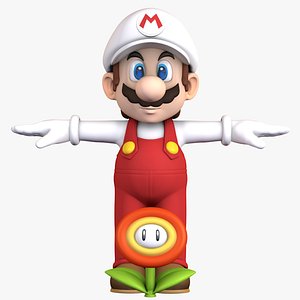 Super Mario Bros Fire Flower Character