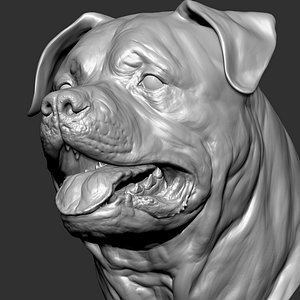 3D Rottweiler Dog Head