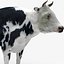Cow 03