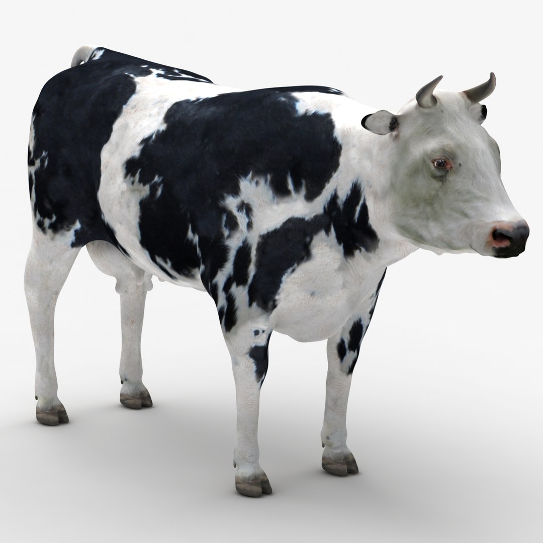 dugm02 cow 03 3d max https://p.turbosquid.com/ts-thumb/Ak/5ImgWq/NkEEZ8Vm/cow_03_000003/jpg/1382007147/1920x1080/fit_q87/9830d75f83c903af5bb5fb6aa9040db1c9016ae9/cow_03_000003.jpg