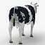Cow 03
