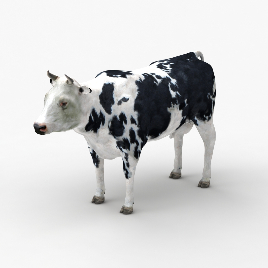 dugm02 cow 03 3d max https://p.turbosquid.com/ts-thumb/Ak/5ImgWq/TaE13bWR/0000.jpg378224d68e3f4c93805092ebc34461d6zoom/jpg/1382007370/1920x1080/turn_fit_q99/f7140edf41520c8d9e766d4d28bd3cdcdffa9457/0000.jpg378224d68e3f4c93805092ebc34461d6zoom-1.jpg