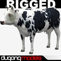 Cow 03