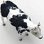 Cow 03