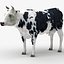 Cow 03