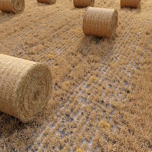 Farm field with hay bale