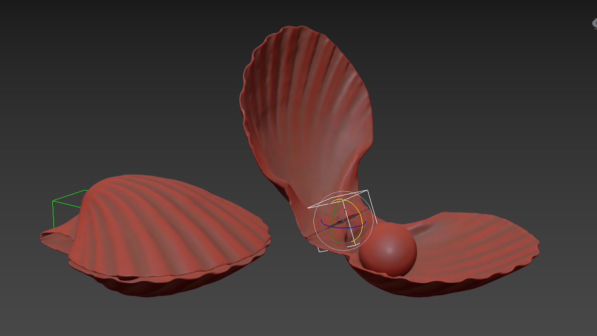 3D Clam Shell Pearl 01 Animated Model - TurboSquid 2228250