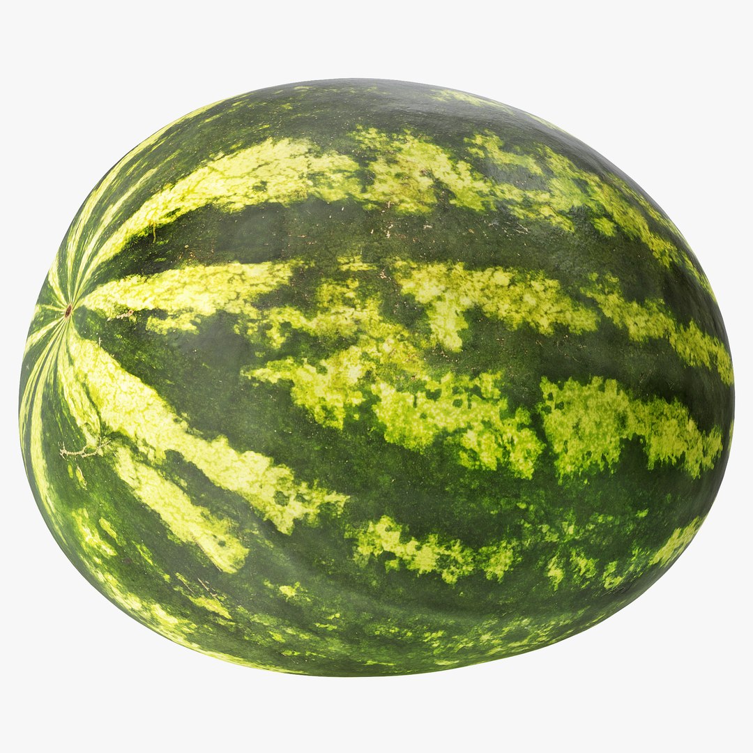 3D 02-03 watermelon https://p.turbosquid.com/ts-thumb/Ak/JPxguM/I8I86lOi/_sign/png/1603106190/1920x1080/fit_q87/8d7894ca65abf8247af696ffb5c2388beef2c282/_sign.jpg