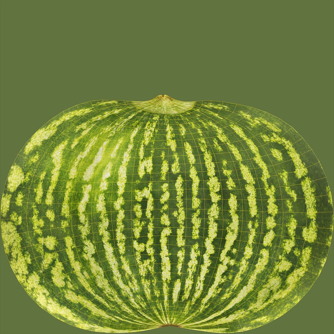 3D 02-03 watermelon https://p.turbosquid.com/ts-thumb/Ak/JPxguM/V7z9MHCo/unwrap/jpg/1603106277/1920x1080/fit_q87/6473f4a357517691154f4ecf012c97fa37afd9fa/unwrap.jpg