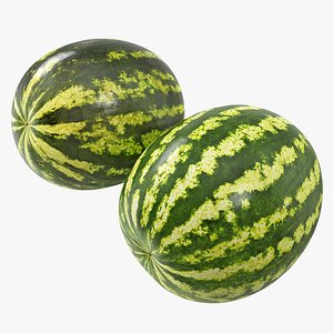 3D 02-03 watermelon