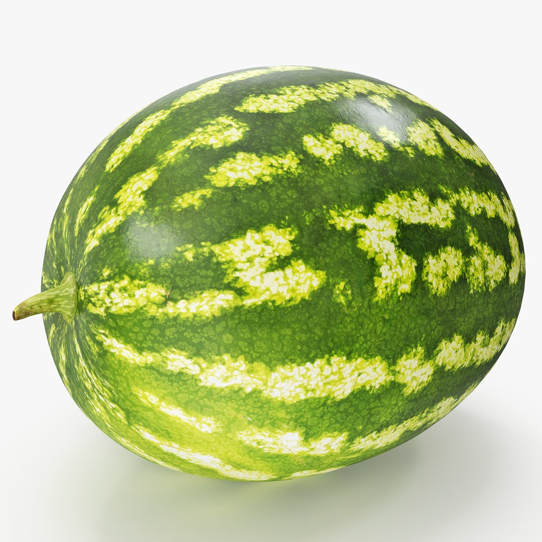 3D 02-03 watermelon https://p.turbosquid.com/ts-thumb/Ak/JPxguM/iJqNZqmy/_sign/png/1603106260/1920x1080/fit_q87/44a72b85ab9962ca5f02b82a92e7a5d605b91074/_sign.jpg