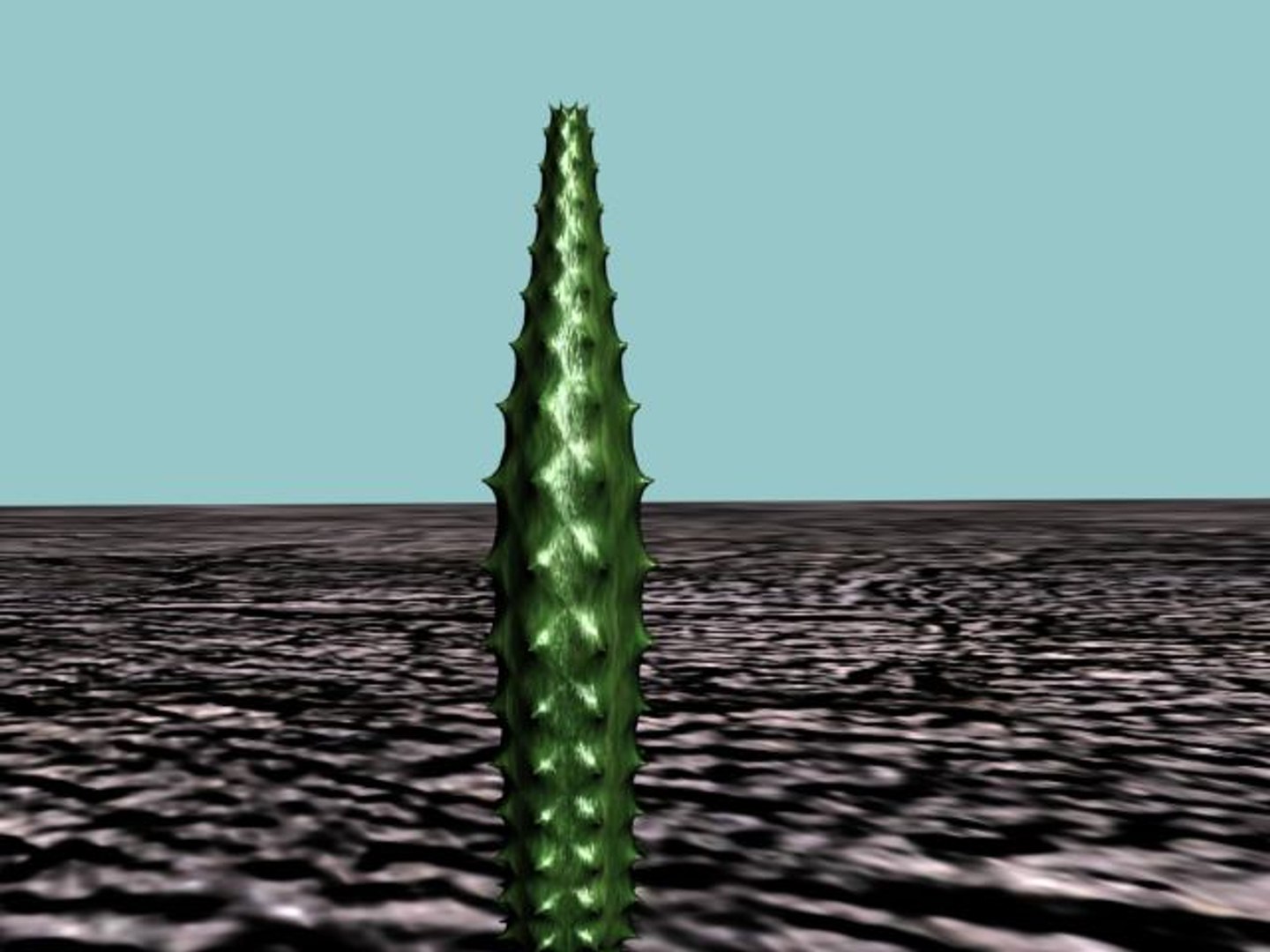 3d 10 cactuses model https://p.turbosquid.com/ts-thumb/Ak/LPk1NH/3LXYevW7/10_cact_thumb06/jpg/1184059820/1920x1080/fit_q87/ec4223d35c74f27af3f4c498337b5acd90cdb8e9/10_cact_thumb06.jpg