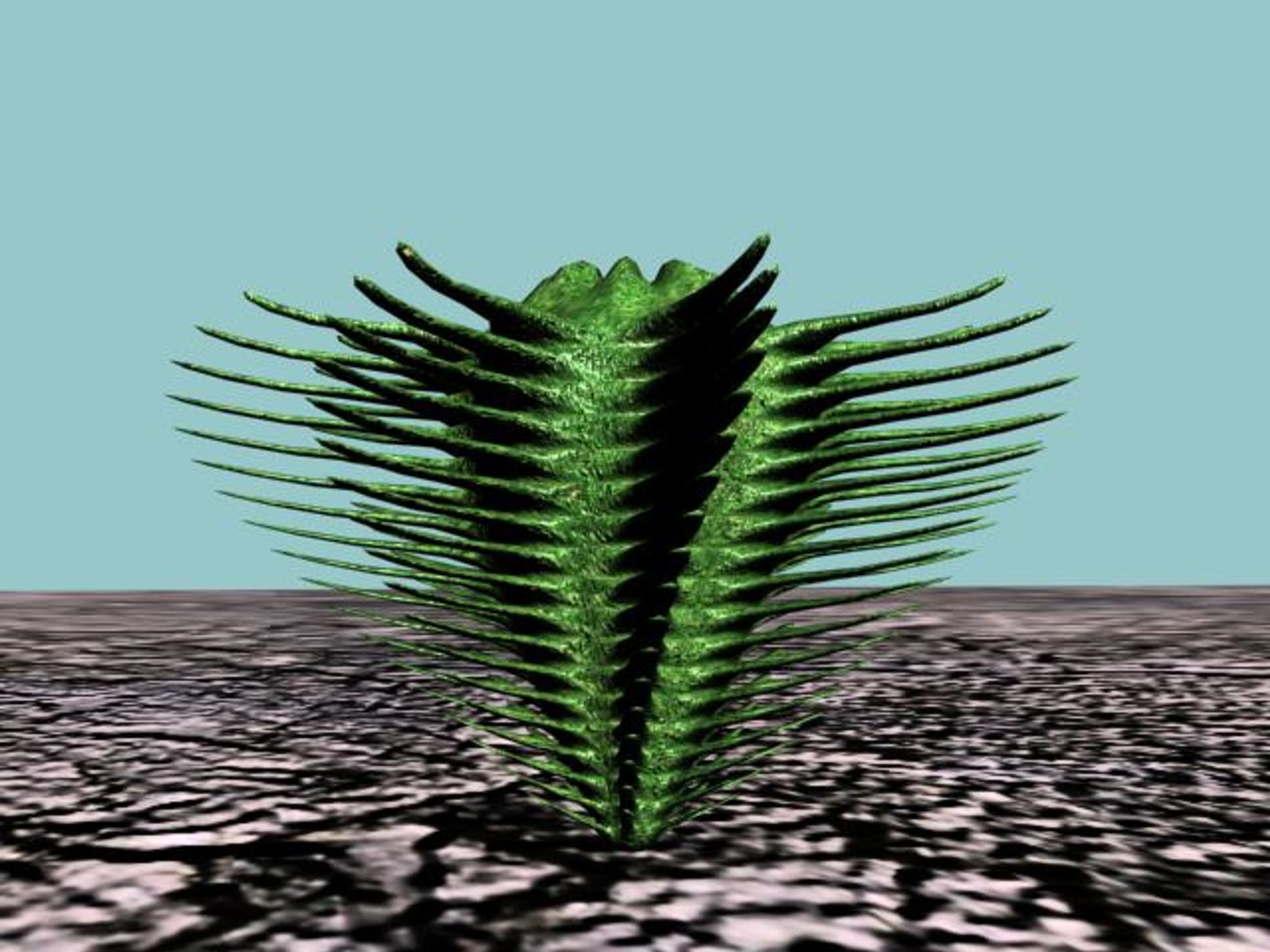 3d 10 cactuses model https://p.turbosquid.com/ts-thumb/Ak/LPk1NH/CKbrvWix/10_cact_thumb01/jpg/1184059731/1920x1080/fit_q87/fc4b3f15a67dba52cb621548e8c8f8d2c33dd7bb/10_cact_thumb01.jpg