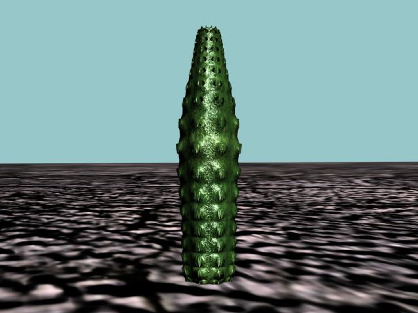 3d 10 cactuses model https://p.turbosquid.com/ts-thumb/Ak/LPk1NH/EYJD26QF/10_cact_thumb03/jpg/1184059773/1920x1080/fit_q87/94dab7e058bfde805933a98bffc2df1cee1ea61a/10_cact_thumb03.jpg