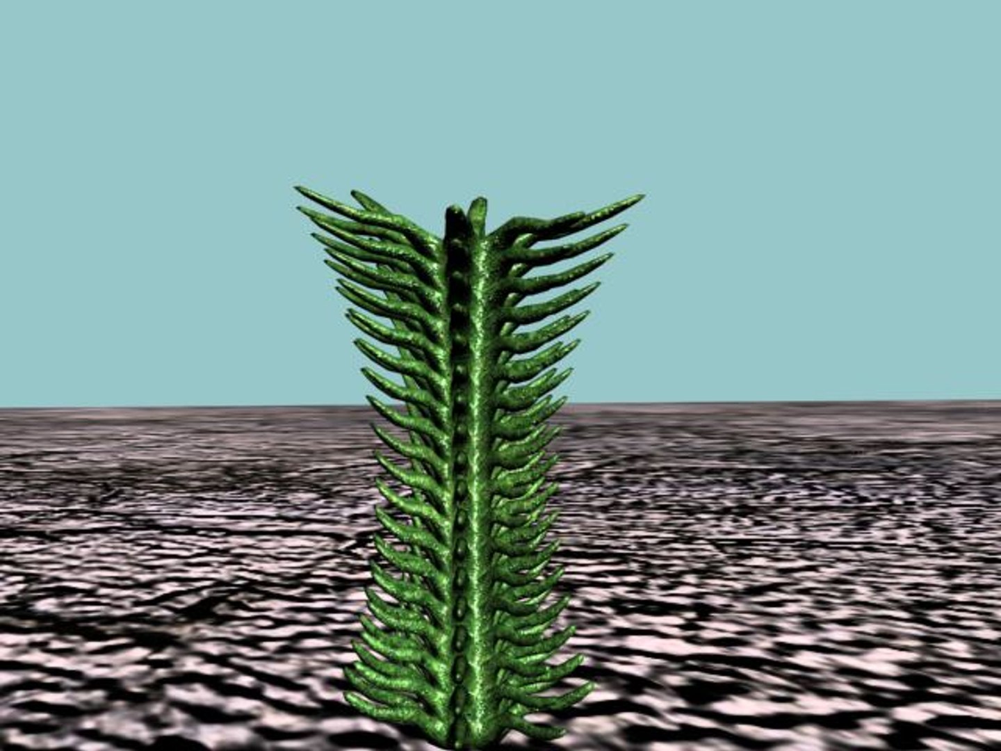 3d 10 cactuses model https://p.turbosquid.com/ts-thumb/Ak/LPk1NH/GNdtyxfV/10_cact_thumb09/jpg/1184059894/1920x1080/fit_q87/e4d418cb0f6402080c4bc27b8d48611706150f6d/10_cact_thumb09.jpg