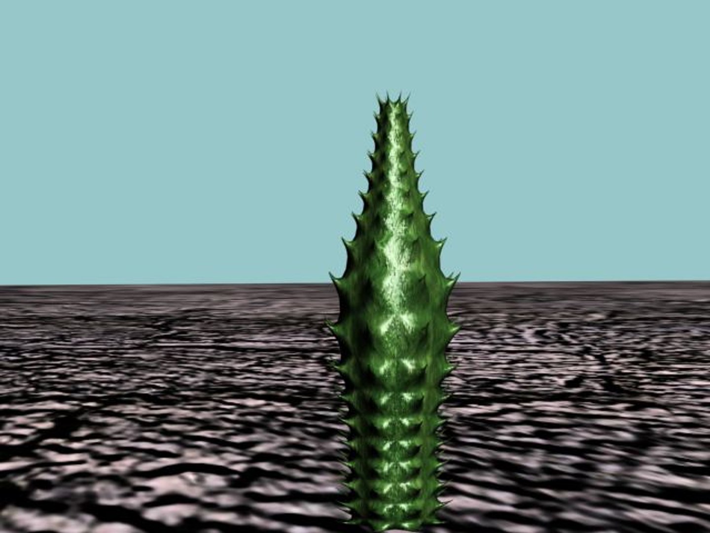 3d 10 cactuses model https://p.turbosquid.com/ts-thumb/Ak/LPk1NH/XKlRHZCJ/10_cact_thumb05/jpg/1184059804/1920x1080/fit_q87/014bb8004b880da2cf5c5979f215fb73c7d6a863/10_cact_thumb05.jpg