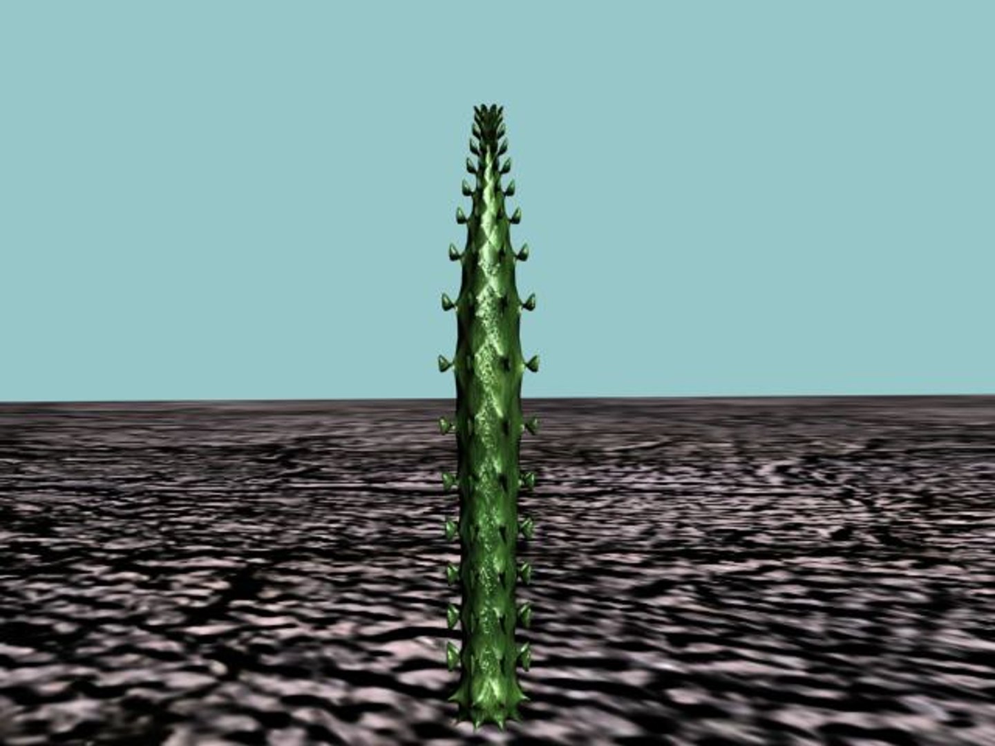 3d 10 cactuses model https://p.turbosquid.com/ts-thumb/Ak/LPk1NH/ZmGggTKX/10_cact_thumb04/jpg/1184059787/1920x1080/fit_q87/ddf450a56dcdcc2cf926c2e2a99389081ae419de/10_cact_thumb04.jpg