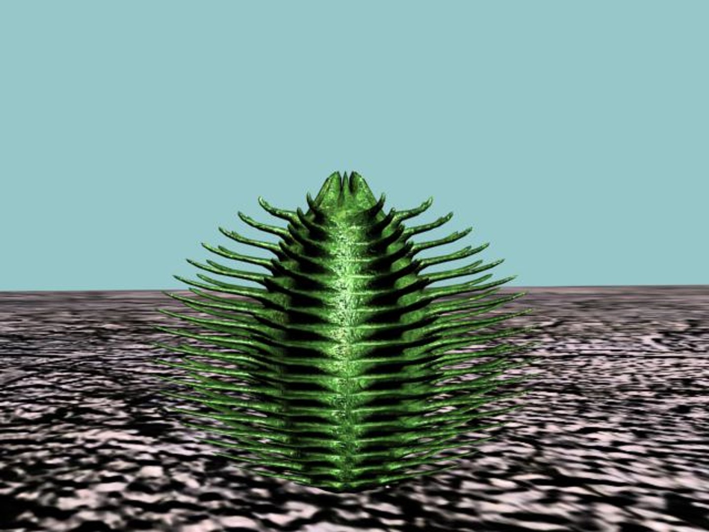 3d 10 cactuses model https://p.turbosquid.com/ts-thumb/Ak/LPk1NH/gCuBvFI9/10_cact_thumb02/jpg/1184059762/1920x1080/fit_q87/f1f2c4eac60ad208d15780a2f98b5fe6e4c75e68/10_cact_thumb02.jpg