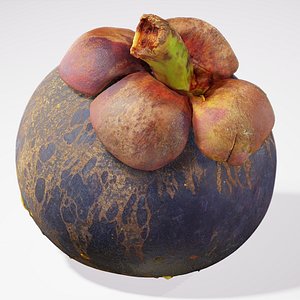 Mangosteen - Photorealistic Scan 3D model