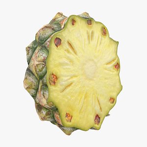 3D Pineapple Slice
