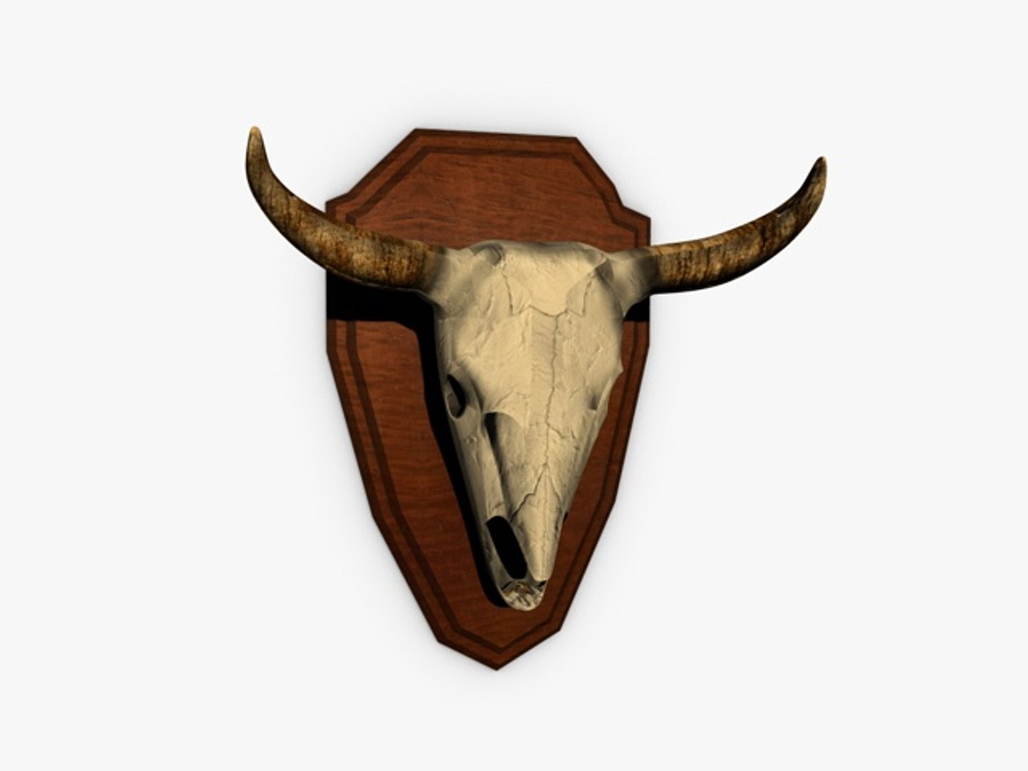 3d buffalo skull trophy model https://p.turbosquid.com/ts-thumb/Ak/Ri0fmp/56CGLKRq/000trophy/jpg/1347957553/1920x1080/fit_q87/0f3a5f8a3fd16ee138f793508d631b444b1e04f6/000trophy.jpg