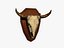 3d buffalo skull trophy model
