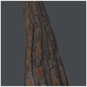 3D model Treebark 08