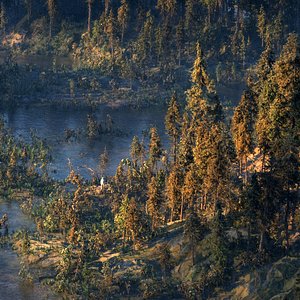 Realistic Conifer Pine Tree Collection.