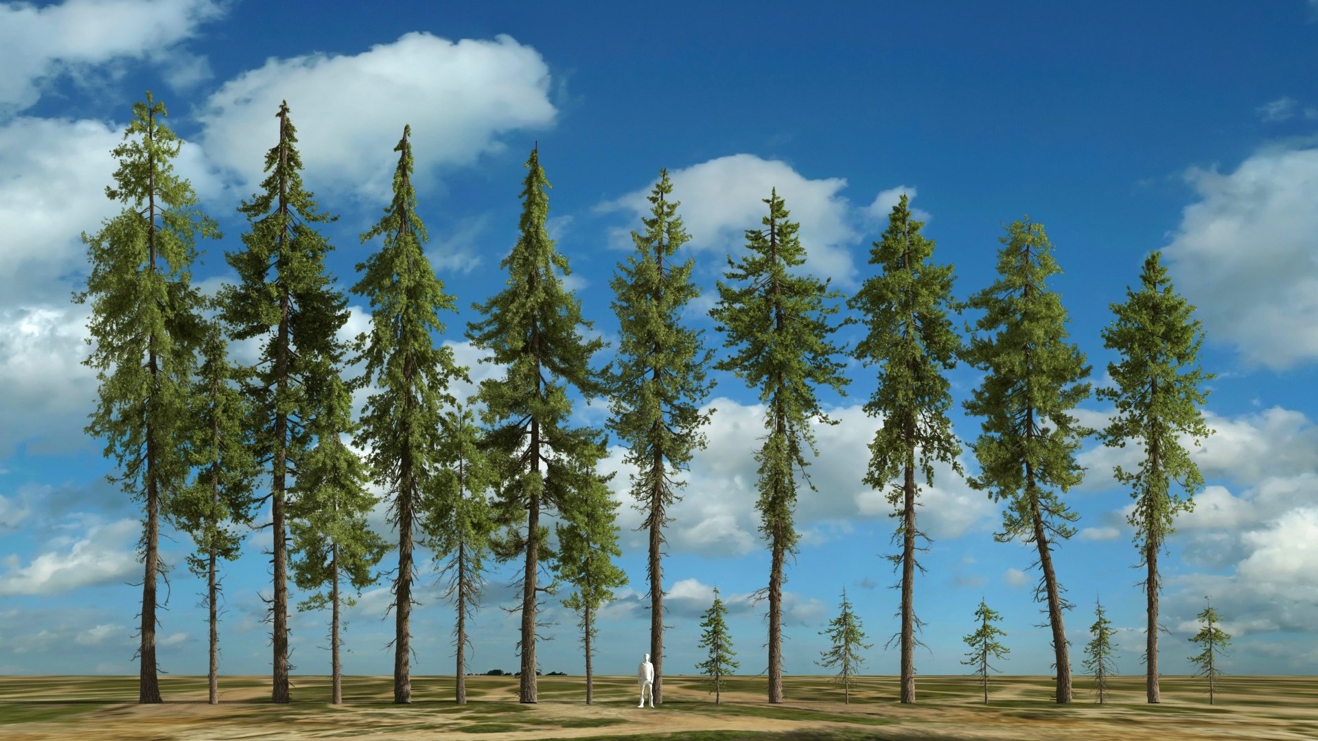 realistic conifer pine tree forest 3D model https://p.turbosquid.com/ts-thumb/Ak/pbA21B/ECmM4jUz/cpall01/jpg/1571048673/1920x1080/fit_q87/87904b6a340f4fe475ae21a856c063ad83210ef5/cpall01.jpg