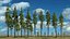 Realistic Conifer Pine Tree Collection.