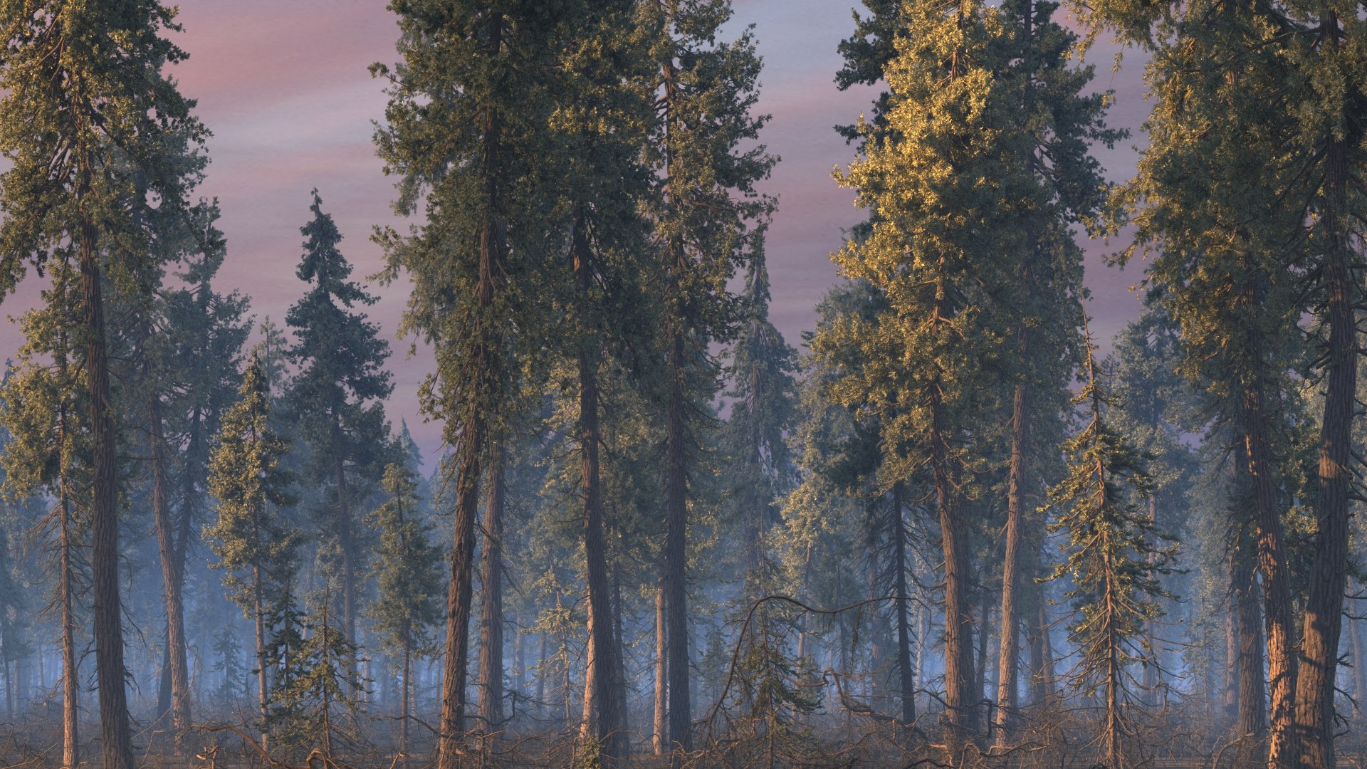 realistic conifer pine tree forest 3D model https://p.turbosquid.com/ts-thumb/Ak/pbA21B/VRFYcmos/cpall05/jpg/1571049456/1920x1080/fit_q87/864a4b77cffd738debbb6a4fdd55bfea60bdca7f/cpall05.jpg