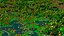 Realistic Conifer Pine Tree Collection.