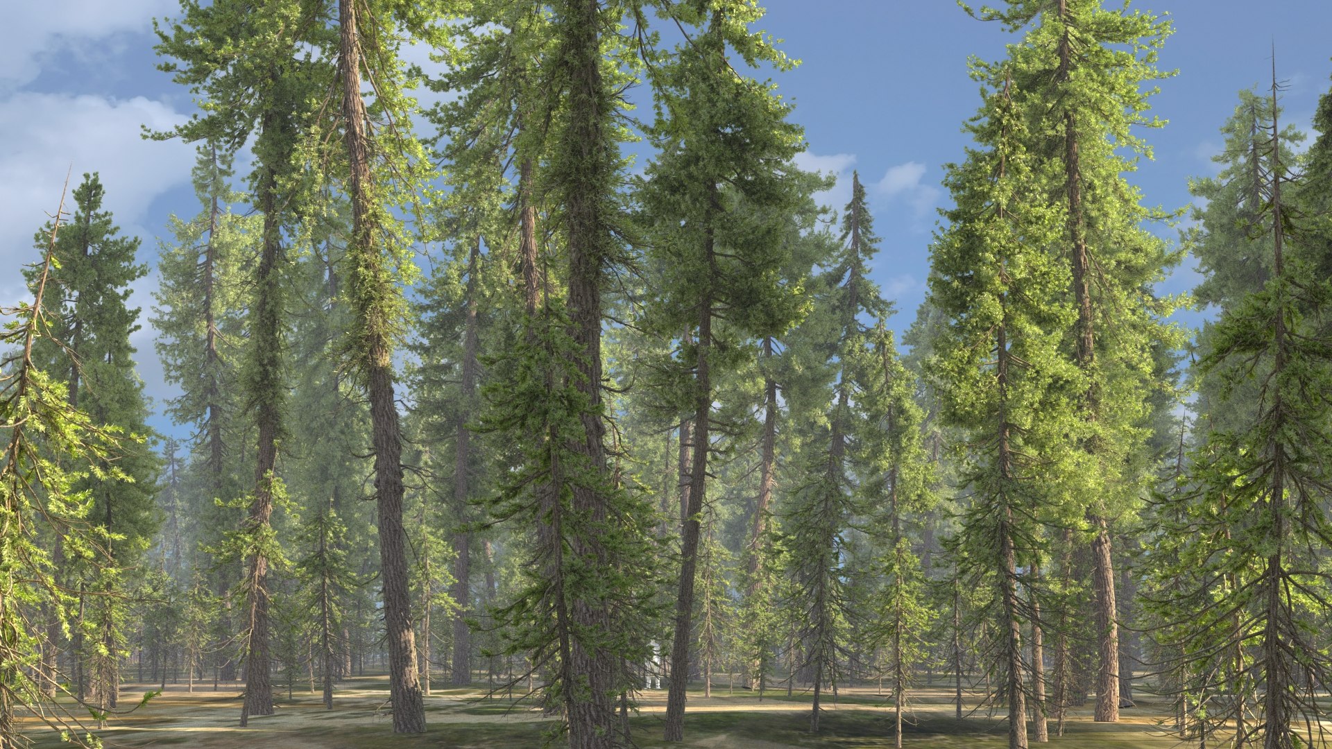 realistic conifer pine tree forest 3D model https://p.turbosquid.com/ts-thumb/Ak/pbA21B/yrOi5OBz/cpall02/jpg/1571049456/1920x1080/fit_q87/025b319db160e6a953662f139b1f5c53a250f7db/cpall02.jpg