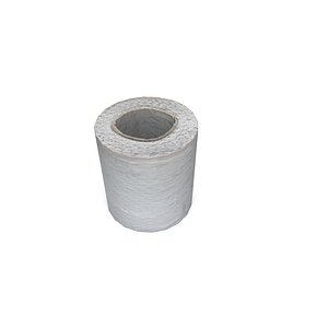 toilet paper 3d model