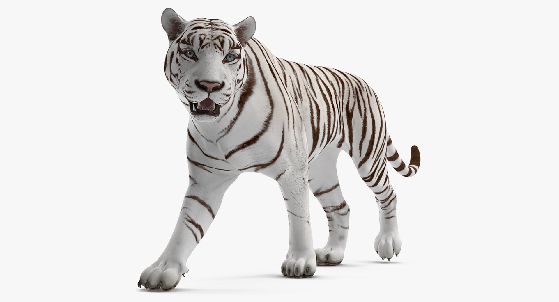 White Tiger Walkig Pose 3D Model 3D model preview