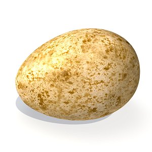 common kestrel egg 3d model