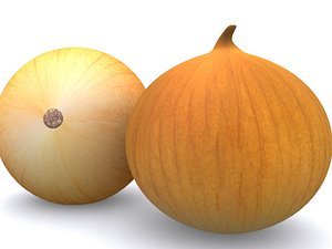 3d model onion