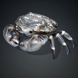 Crab Monster-V1c 3D
