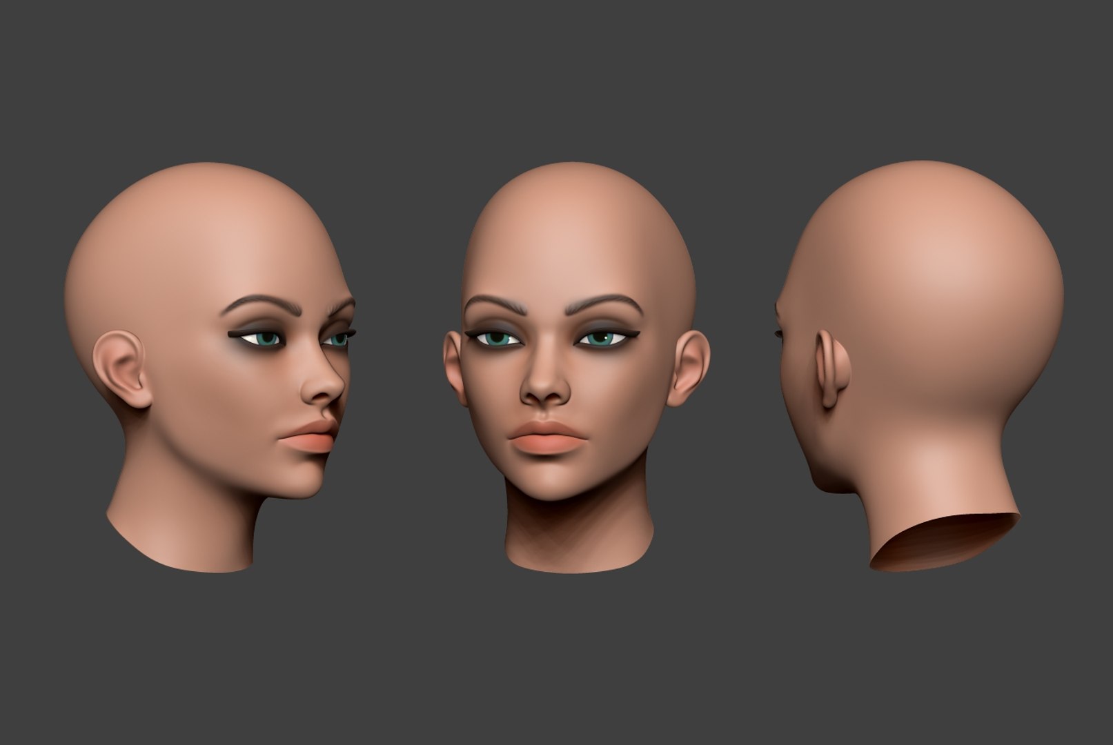 3D Model Zbrush Head - TurboSquid 1295417