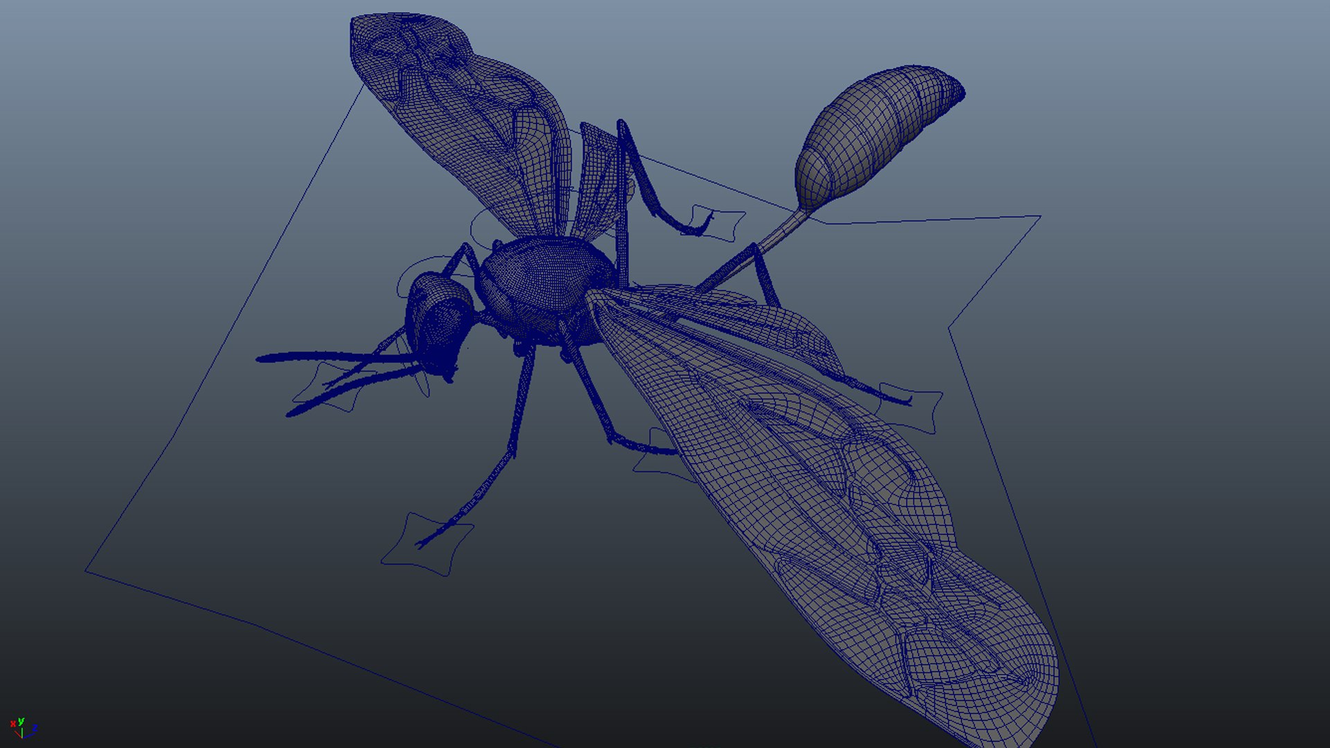 3D Wasp Basic Rig - TurboSquid 1428177