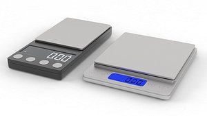 Digital Scale 3D