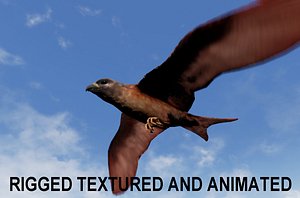 falcon (RIGGED)
