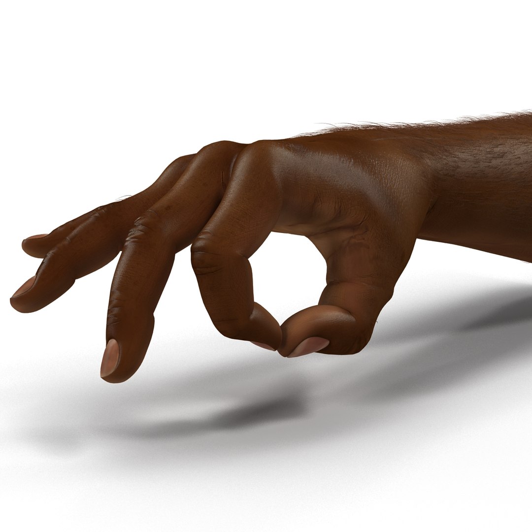 african man hands fur 3d model https://p.turbosquid.com/ts-thumb/Am/1jsM2M/1lnvSC5C/africanmanhandswithfurrigged3dsmaxvray3dmodel24/jpg/1468319531/1920x1080/fit_q87/fbe5f0adf4a67508a8a2bd7eff48c16139faaa73/africanmanhandswithfurrigged3dsmaxvray3dmodel24.jpg