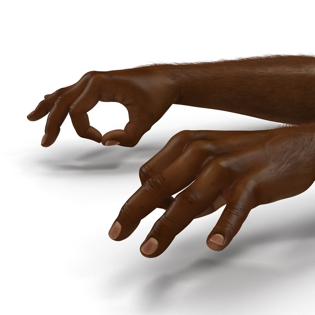 african man hands fur 3d model https://p.turbosquid.com/ts-thumb/Am/1jsM2M/8iK9X6ax/africanmanhandswithfurrigged3dsmaxvray3dmodel25/jpg/1468319531/1920x1080/fit_q87/ce71a7cdf7a2e19b3b88631b193ffae323d0d798/africanmanhandswithfurrigged3dsmaxvray3dmodel25.jpg