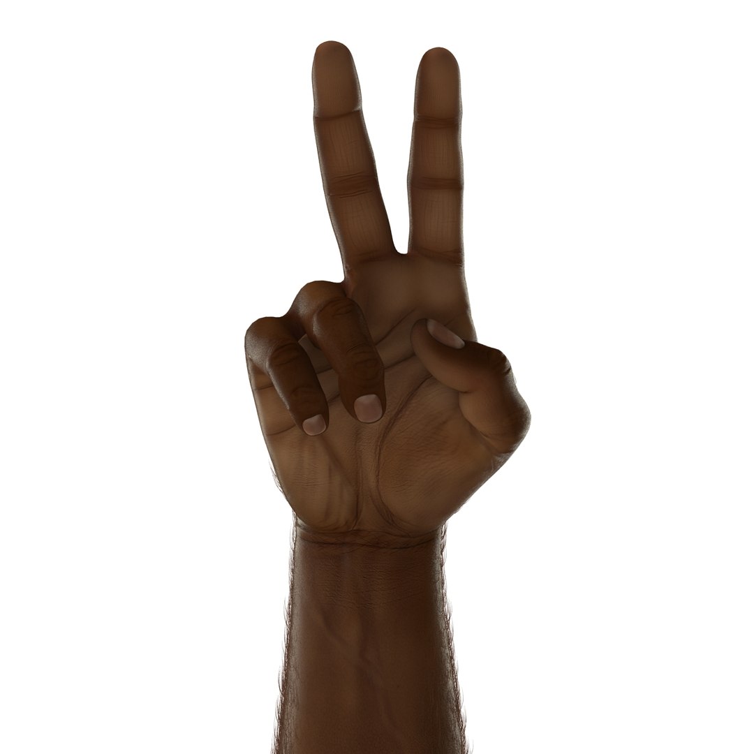 african man hands fur 3d model https://p.turbosquid.com/ts-thumb/Am/1jsM2M/DWf4dfrT/africanmanhandswithfurrigged3dsmaxvray3dmodel14/jpg/1468319531/1920x1080/fit_q87/a32adcdc75b375a2db21b66e553faae2359a2049/africanmanhandswithfurrigged3dsmaxvray3dmodel14.jpg