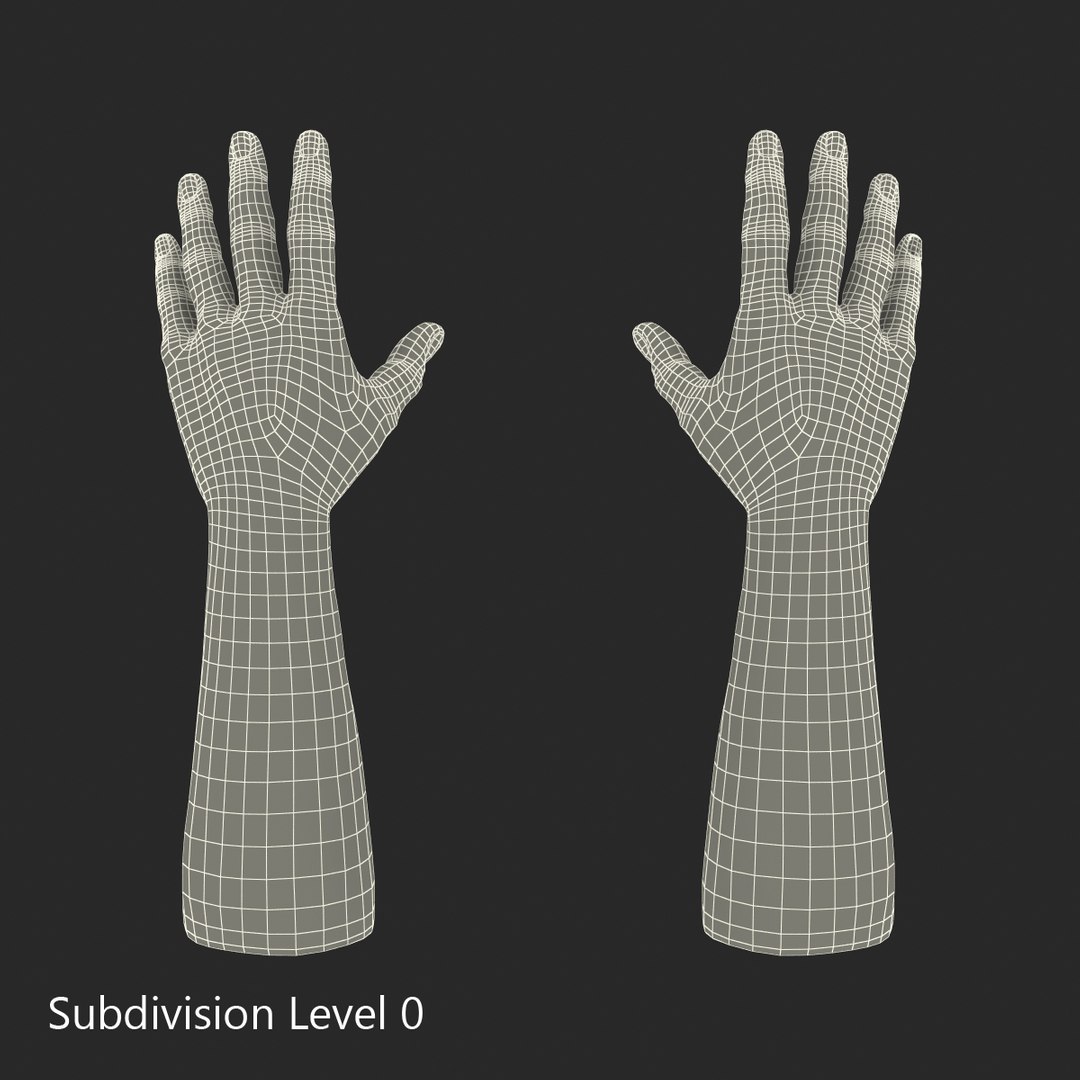 african man hands fur 3d model https://p.turbosquid.com/ts-thumb/Am/1jsM2M/QozeEnQF/africanmanhandswithfurrigged3dsmaxvray3dmodel28/jpg/1468319531/1920x1080/fit_q87/5bd035437d9a83d6e4e39ea09a65ef16d8daed0c/africanmanhandswithfurrigged3dsmaxvray3dmodel28.jpg