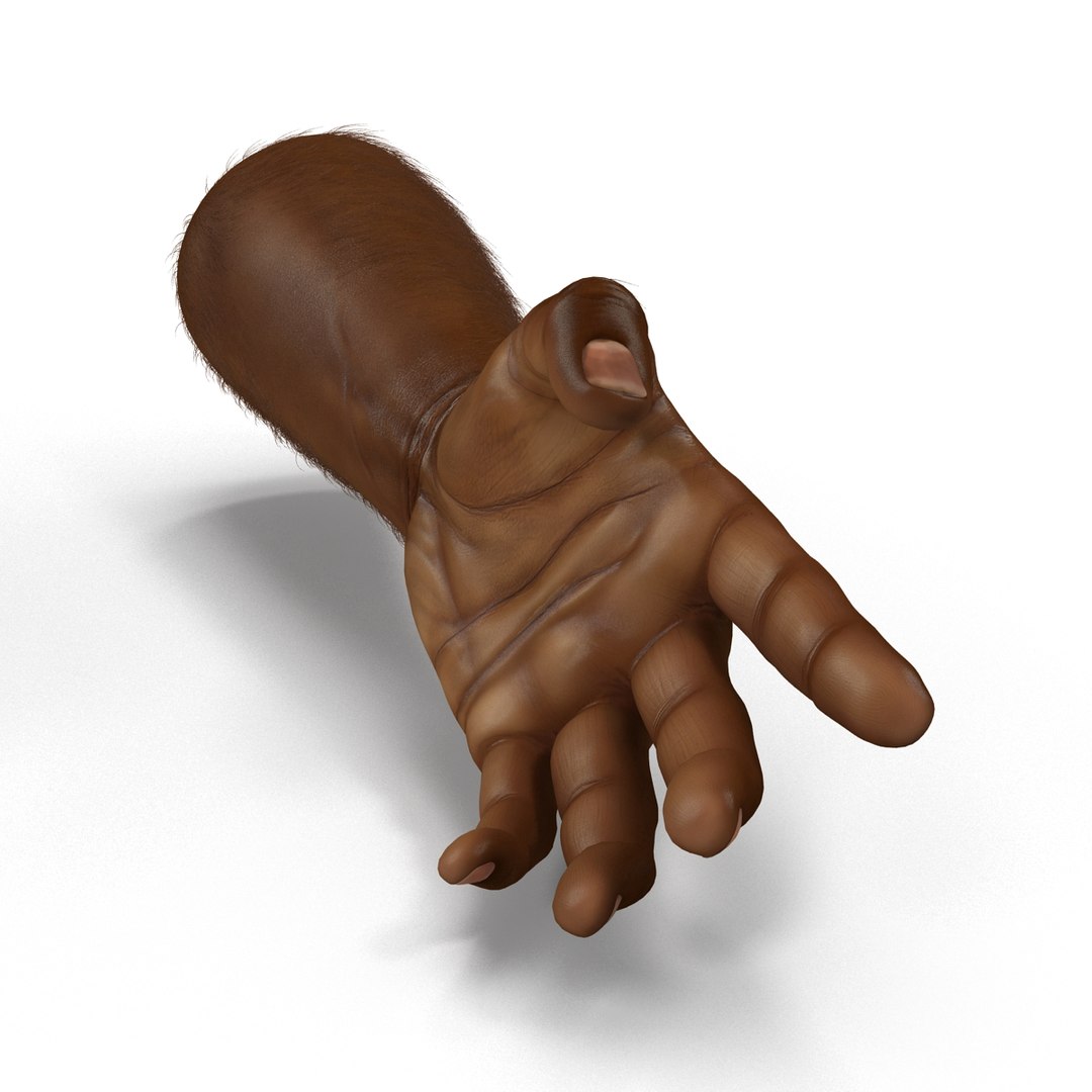 african man hands fur 3d model https://p.turbosquid.com/ts-thumb/Am/1jsM2M/Sfl1yMf9/africanmanhandswithfurrigged3dsmaxvray3dmodel16/jpg/1468319531/1920x1080/fit_q87/37f02803688366b36b2ae89f222cf29485b20542/africanmanhandswithfurrigged3dsmaxvray3dmodel16.jpg